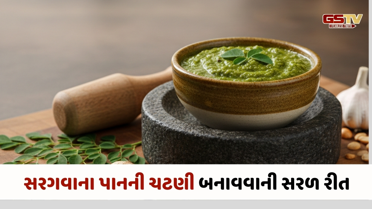 Recipe : સરગવાના પાનની ટેસ્ટી ચટણી રેસિપી, ઇમ્યુનિટી બુસ્ટર અને સ્વાદમાં અદ્ભુત!
