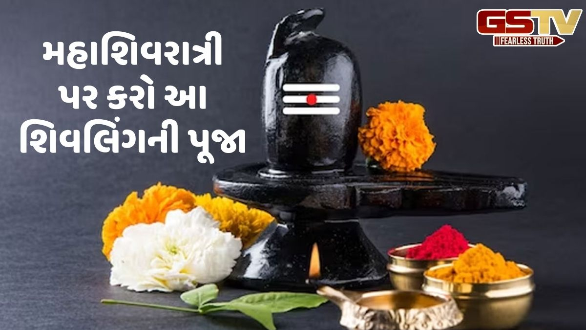 સોના-ચાંદીથી લઈને પિત્તળ અને પારો સુધી, કયા શિવલિંગની પૂજા કરવાથી શું ફાયદા થાય છે? જાણો અહીં