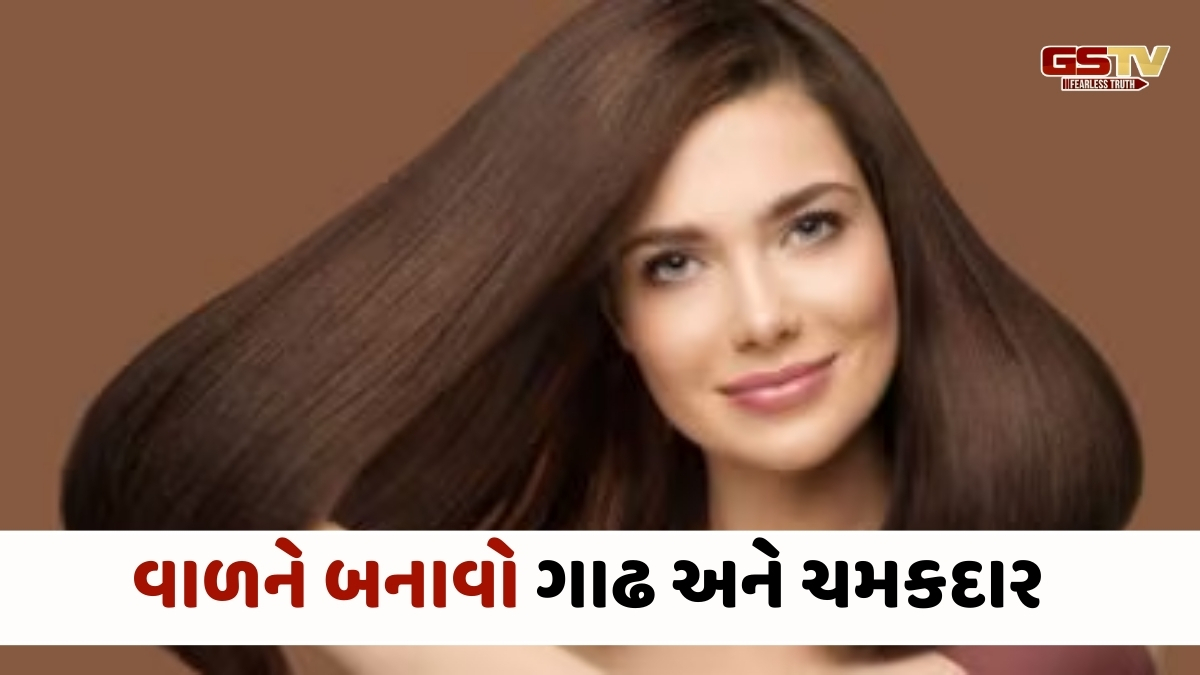 Hair Care Tips : 5 દેશી ફૂડ્સ વાળને બનાવશે ગાઢ અને ચમકદાર, દરરોજ સેવન કરતાં રહેજો!