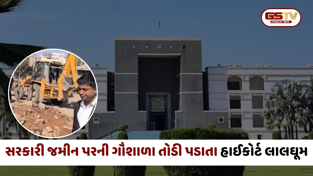 Surendranagar:ચોટીલામાં ગૌશાળા તોડી પડાતા હાઈકોર્ટ લાલઘૂમ: જવાબદારો સામે ખાતાકીય તપાસ થઈ શકે