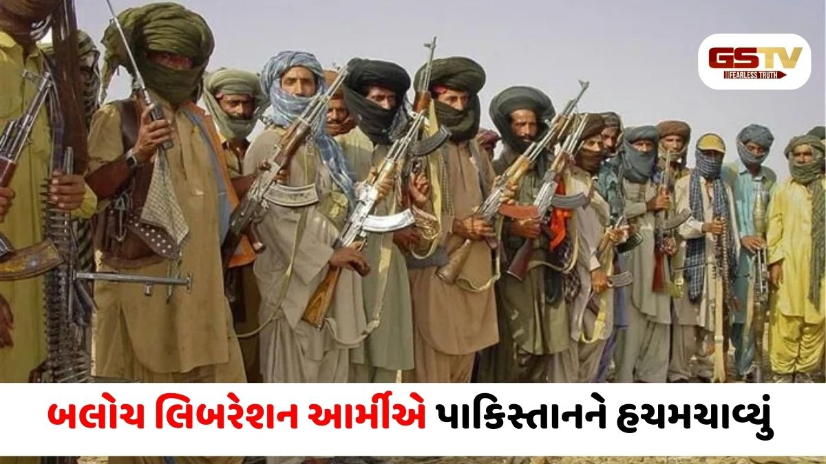14 શહેરોમાં મચાવ્યો તાંડવ, 360થી વધુ જવાનોના મોતના દાવા સાથે BLA એ પાકિસ્તાનની ઊંઘ ઊડાડી!