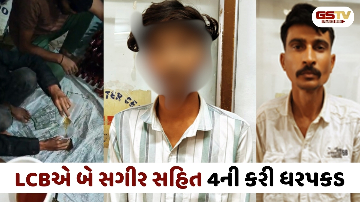 Rajkot news: વિંછીયામાં LCBના દરોડા, ભાજપના સભ્યની વાડીમાંથી નકલી દારૂની ફેક્ટરી ઝડપાઈ