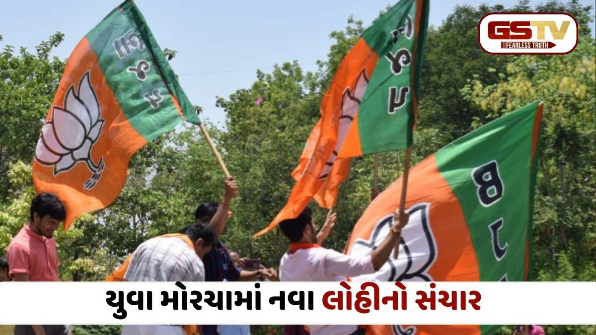 રાજકોટ શહેર ભાજપના નવા સંગઠનનું માળખું જાહેર: મહામંત્રી પદમાં પાટીદાર, ક્ષત્રિય અને OBCનું વર્ચસ્વ, જુઓ સંપૂર્ણ યાદી