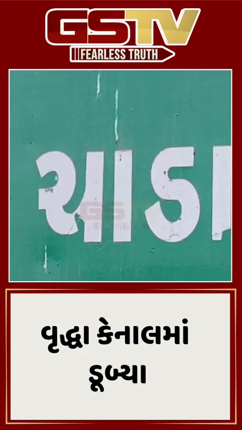 Mehsana/ ખેરાલુના ચાડા ગામે ધરોઈ કેનાલમાં 75 વર્ષીય વૃદ્ધા ડૂબ્યા, સર્ચ ઓપરેશન ચાલુ 