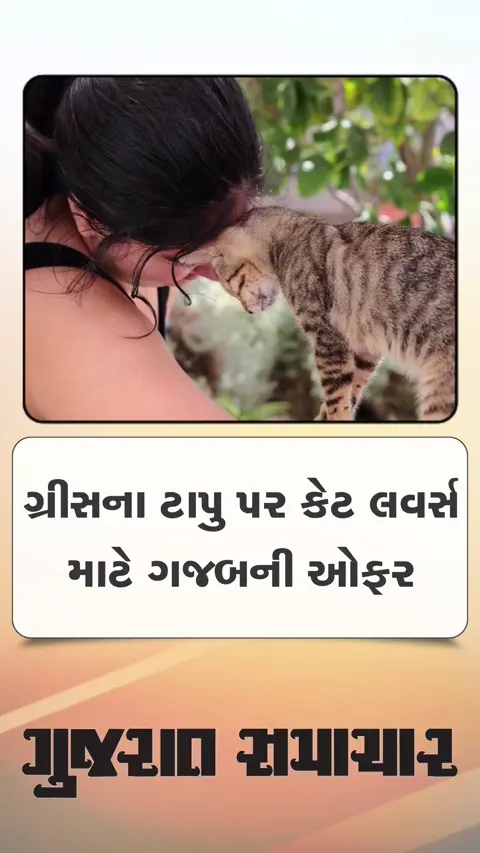ગ્રીસના ટાપુ પર કેટ લવર્સ માટે ગજબની ઓફર