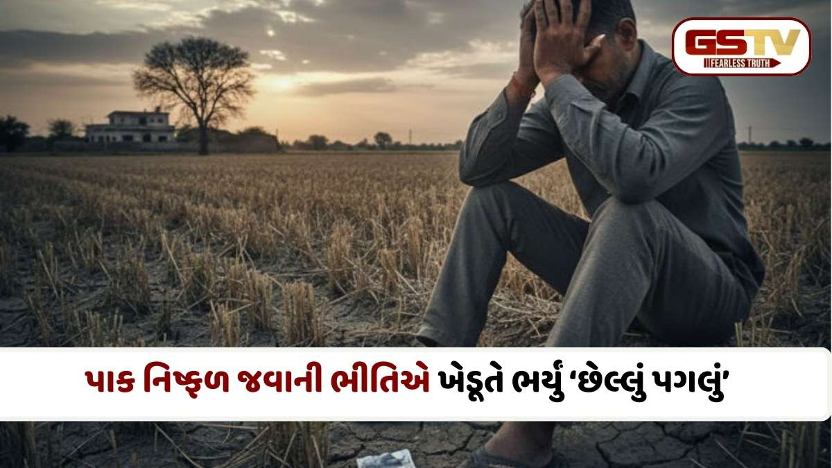 Amreli News Today: પાક નિષ્ફળ જવાની ચિંતામાં વધુ એક ખેડૂતે ગળ્યા ઝેરી ટીકડા: અમરેલીના માલવણ ગામની ઘટના