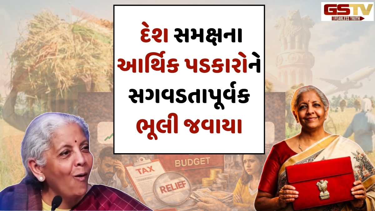 Business Plus: આર્થિક સર્વેમાં બીમારીનું નિદાન તો થયું, પણ બજેટમાં તેની ઘોર ઉપેક્ષા થઈ