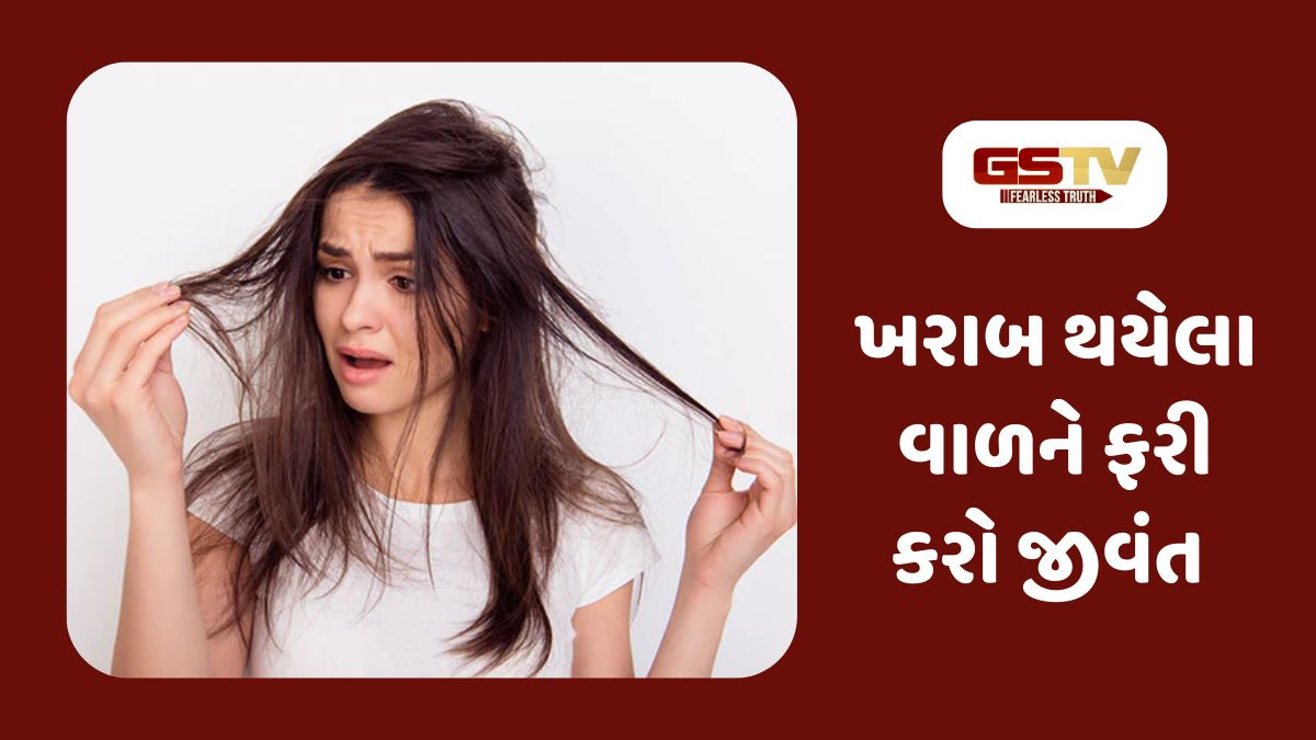Sahiyar : વાળને મળશે નવું જીવન: ડેમેજ વાળને રિપેર કરવાના અસરકારક ઘરગથ્થુ નુસખાઓ