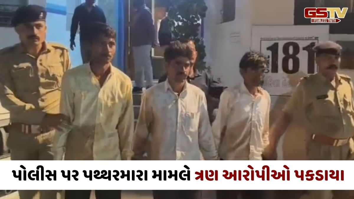 Banaskantha news: પોલીસ પર હુમલા મામલે ત્રણ શખ્સોની ધરપકડ, બે દિવસના રિમાન્ડ મંજૂર