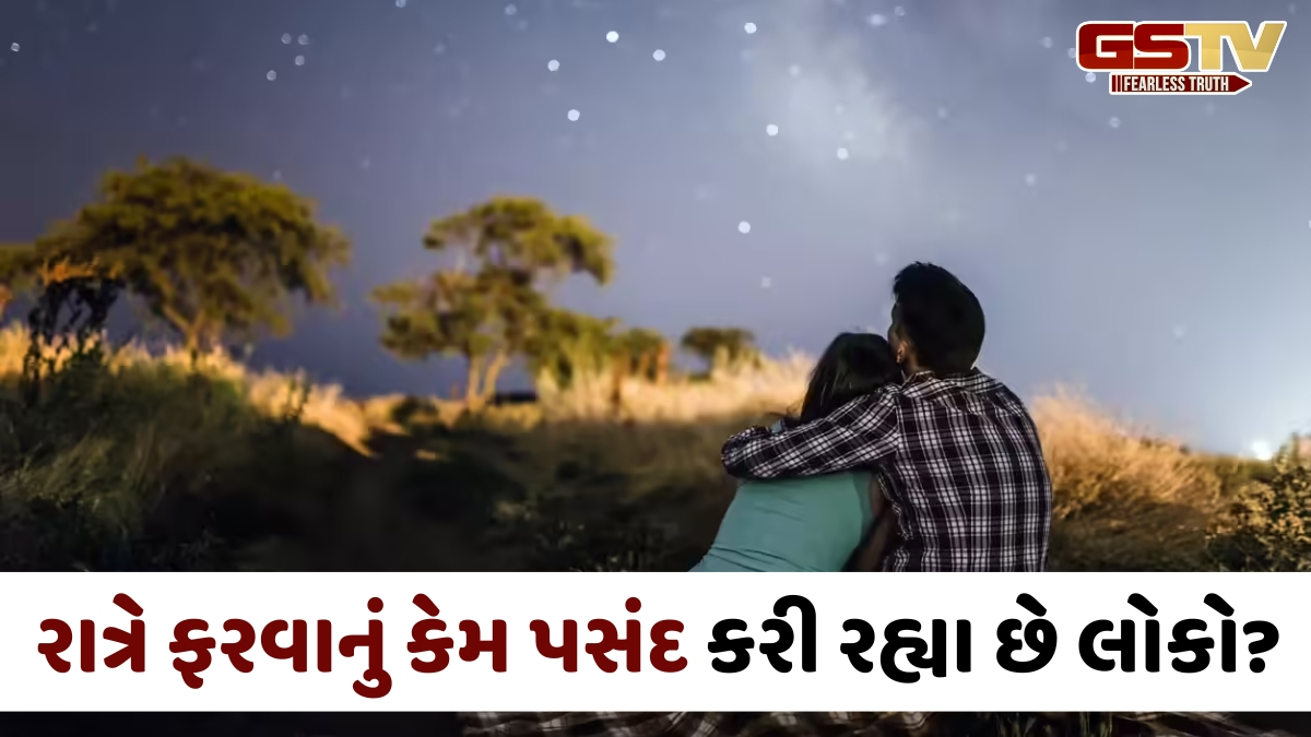 Travel Trend / નાઈટ સફારીથી લઈને સ્ટારગેઝિંગ સુધી, લોકોમાં કેમ વધી રહ્યો છે Noctourismનો ક્રેઝ?