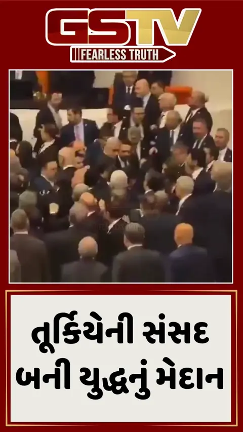 VIDEO: તૂર્કિયેના સાંસદો વચ્ચે છૂટ્ટા હાથની મારામારી, સંસદની ગરિમા લજવી