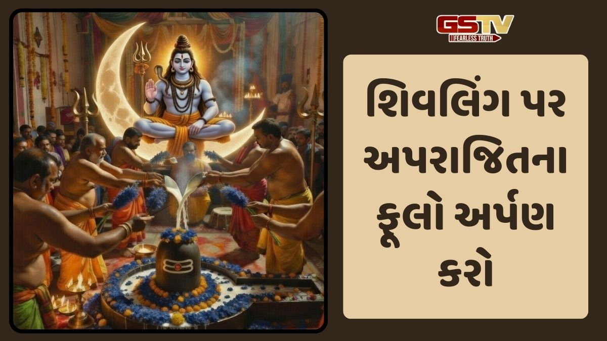 Shivratri : નોકરીમાં પ્રમોશન મેળવવું હોય તો મહાશિવરાત્રીએ અપરાજિતાના ફૂલોનો કરો આ ઉપાય 