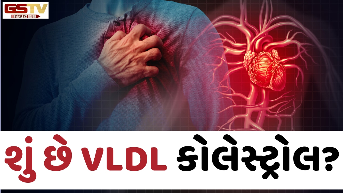 Health Tips: ખરાબ કોલેસ્ટ્રોલ જ નહીં; લોહીમાં વધેલું VLDL પણ બની શકે છે હાર્ટ એટેકનું કારણ, આ રીતે કરો કંટ્રોલ