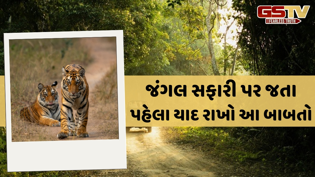 જંગલ સફારીનો પ્લાન બનાવી રહ્યા છો? આ નિયમોને ન અવગણો, નહીં તો મુશ્કેલીમાં ફેરવાઈ જશે રોમાંચ