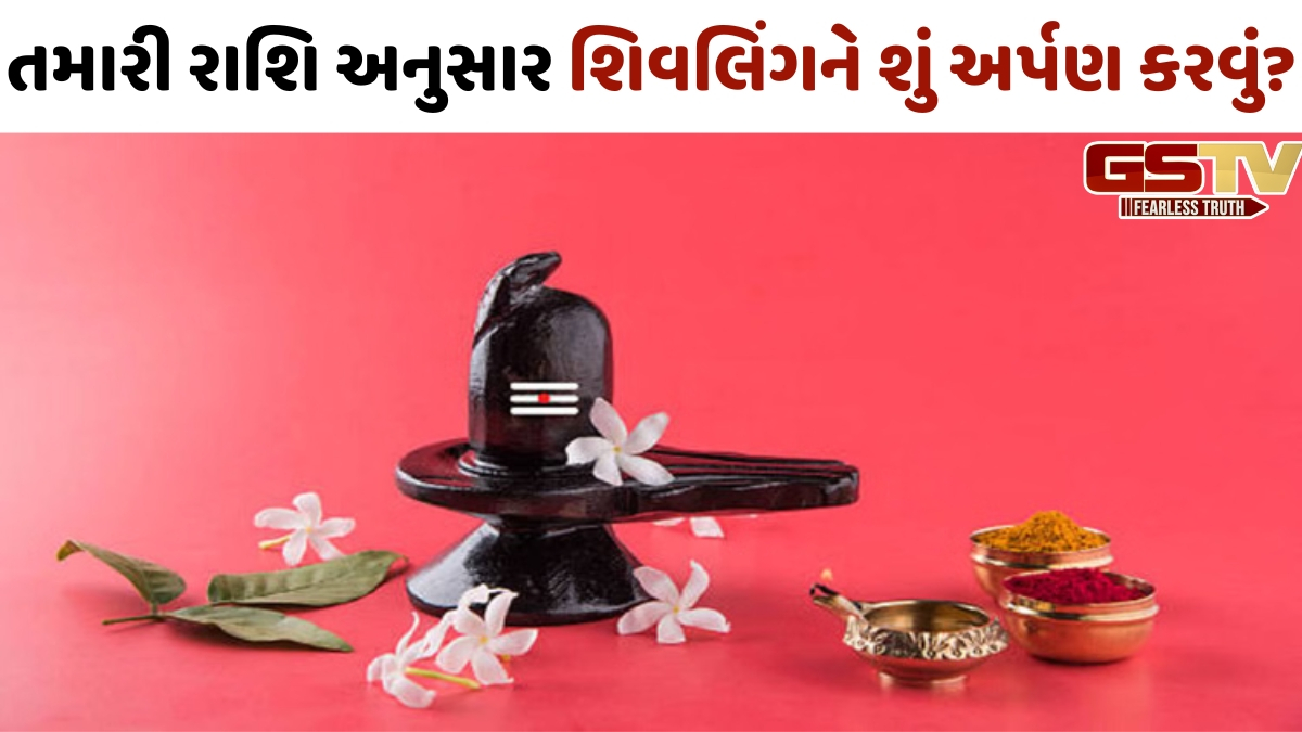 મહાશિવરાત્રી પર તમારી રાશિ અનુસાર શિવલિંગને અર્પણ કરો આ ખાસ વસ્તુઓ, દૂર થશે તમારી બધી મુશ્કેલીઓ!