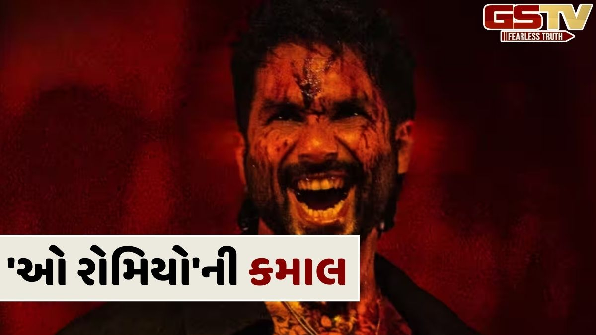 શાહિદ કપૂરની ફિલ્મની સિનેમાઘરોમાં ધૂમ, કમાણીમાં થયો મોટો ઉછાળો