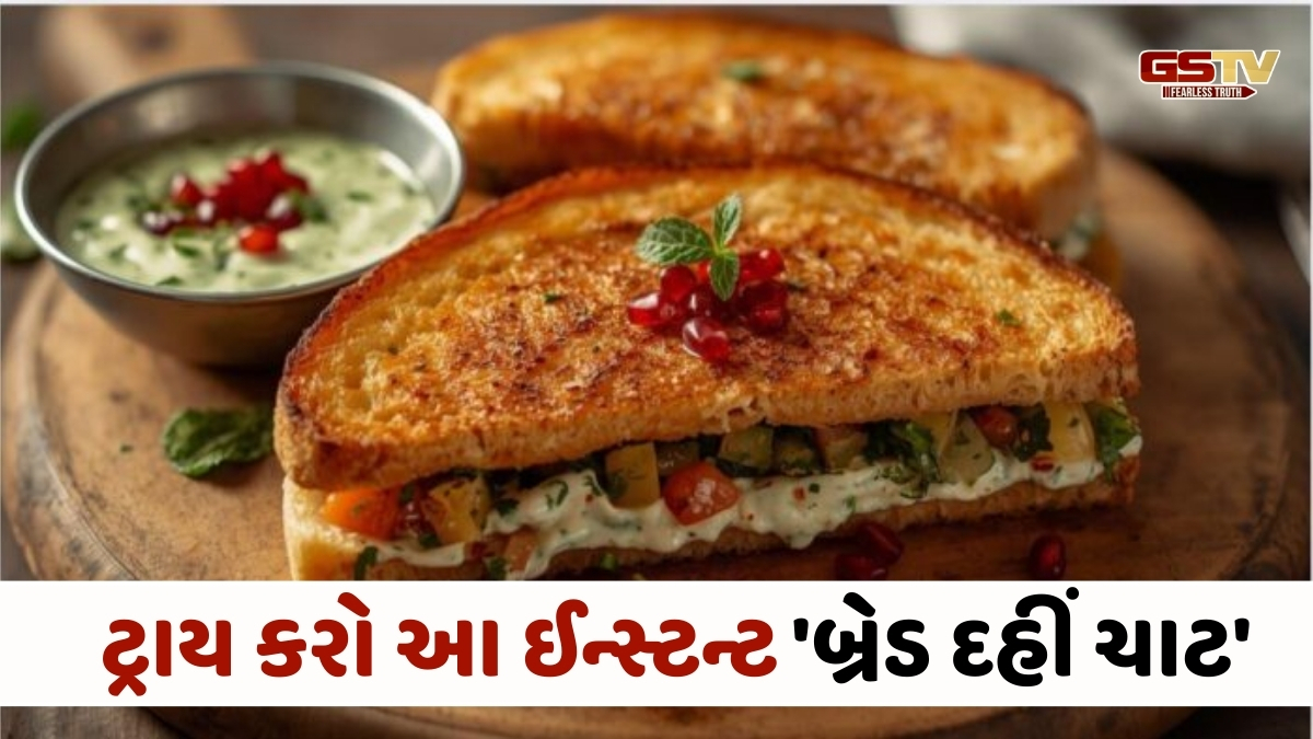 Recipe : મહેમાન આવે કે બાળકોનું લંચ બોક્સ, 5 મિનિટમાં બનાવો બ્રેડ-દહીંની આ ખાટી-મીઠી વાનગી