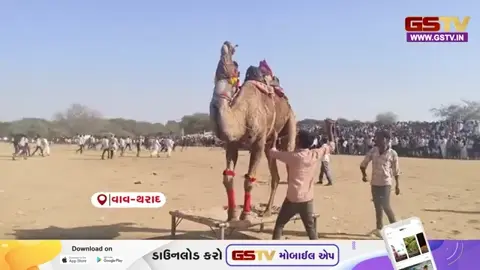 VIDEO: Vav-Tharadના જસરા ગામે મહાશિવરાત્રી પર્વ નિમિત્તે પાંચ દિવસીય અશ્વમેળો યોજાયો