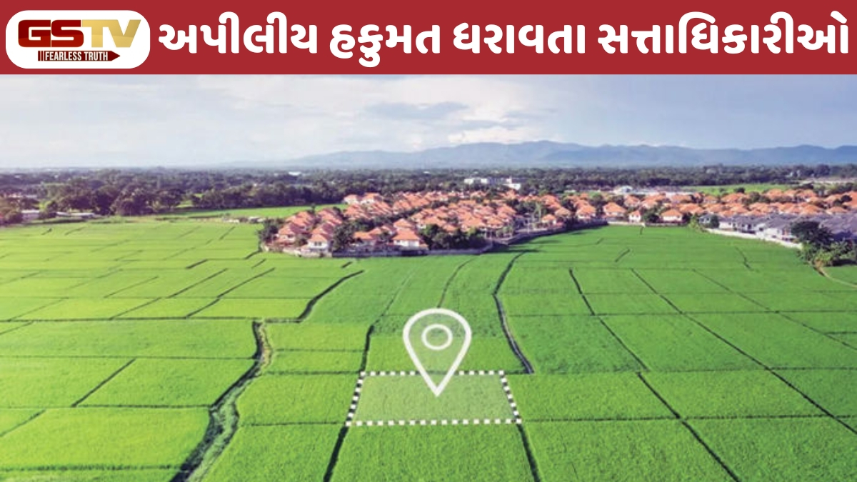 Business Plus : મહેસૂલી કાયદા હેઠળ અપીલના સ્તરો: કયા અધિકારી પાસે છે ચુકાદો આપવાની સત્તા?