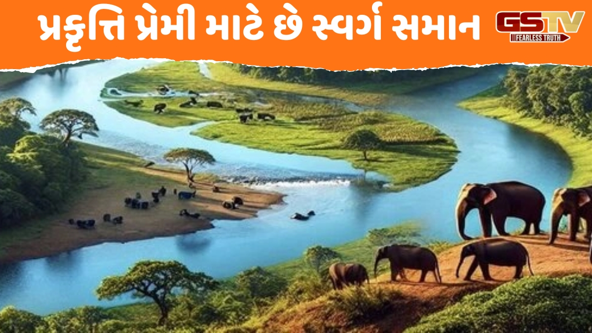 Travel Places / ભારતના 5 નેશનલ પાર્ક જેની નજીકથી પસાર થાય છે નદી, દિલ જીતી લે છે અહીંના દૃશ્યો