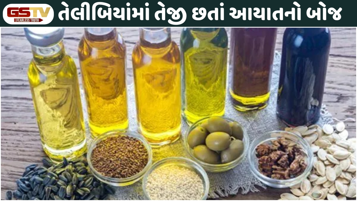 Business Plus : ઉત્પાદનનો ગ્રાફ ઊંચો, પણ આયાતનો કાંટો નીચો ક્યારે?