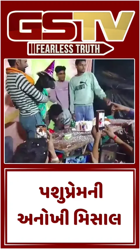 VIDEO : પશુપ્રેમની અનોખી મિસાલ: હરદોઈમાં બે બકરીઓનો ઉજવાયો જન્મદિવસ