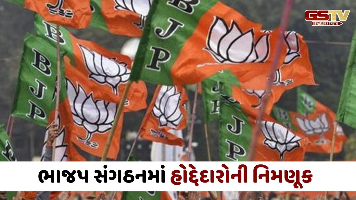 Gandhinagar news: વડોદરા સહિત ત્રણ જિલ્લામાં નવા ભાજપ પ્રમુખોના નામની જાહેરાત, જાણો કોને સોંપાઈ જવાબદારી