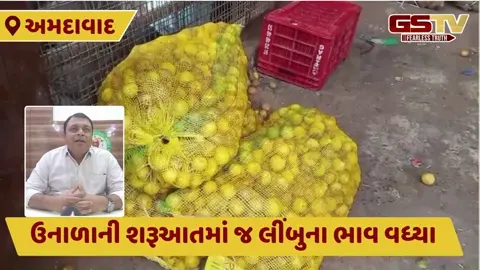Ahmedabad: લીંબુના ભાવમાં તોતિંગ વધારો, હોલસેલ બજારમાં ભાવ ₹50 થી ₹80 સુધી પહોંચ્યા