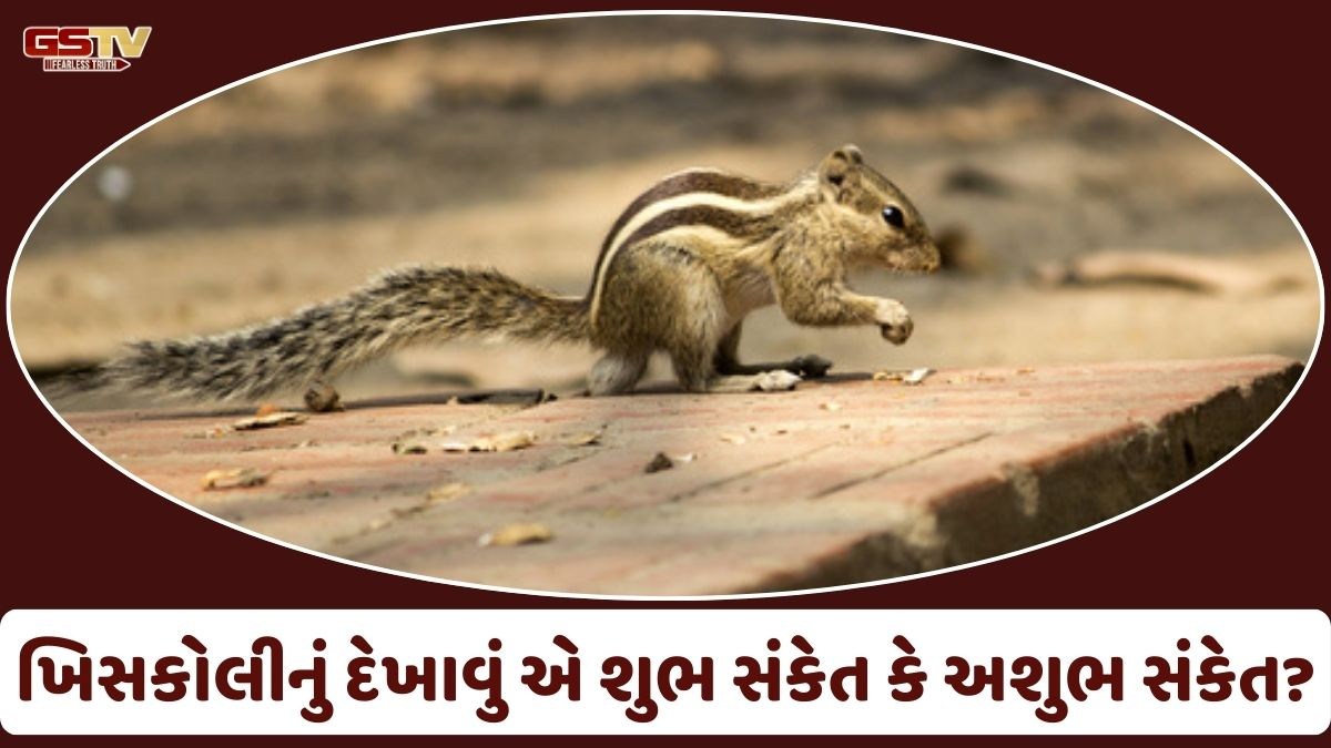 Religion: જાણો અચાનક ખિસકોલીનું દેખાવું શું સંકેત આપે છે, શુભ કે અશુભ!