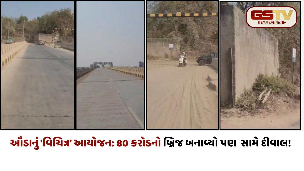 Ahmedabad news: ઘુમા-શીલજ બ્રિજમાં 'બકરું કાઢતા ઊંટ પેઠું', ઉદ્ઘાટન વગર જ લોકો જીવના જોખમે બ્રિજ વાપરવા મજબૂર, જુઓ ગ્રાઉન્ડ રિપોર્ટ