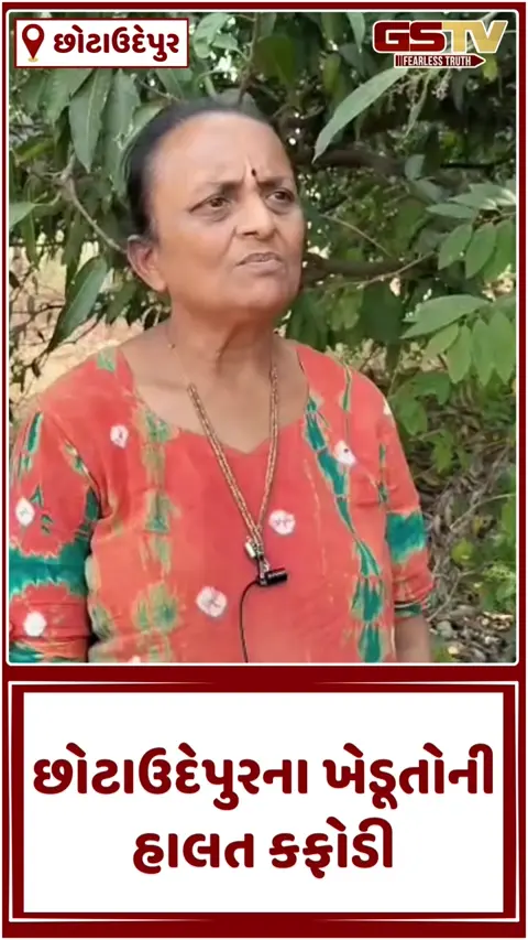 VIDEO: છોટાઉદેપુરમાં કુદરતનો કહેર: કમોસમી વરસાદથી આંબાવાડીમાં ભારે નુકસાન, કેસર અને લંગડો કેરીનો મોર ખરી પડતા ખેડૂતો પાયમાલ