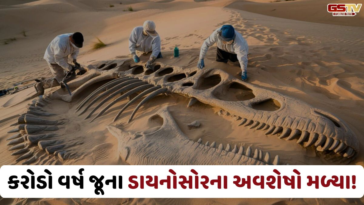 સહારાના રણમાંથી મળી આવ્યા 9 કરોડ વર્ષથી પણ વધુ જૂના ડાયનોસોરની અનોખી પ્રજાતિના અવશેષો મળ્યાં