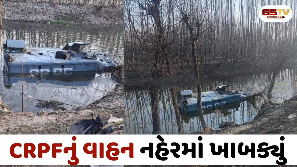 J&K news: શ્રીનગરમાં CRPFનું વાહન નહેરમાં ખાબક્યું, 7 જવાન ઈજાગ્રસ્ત
