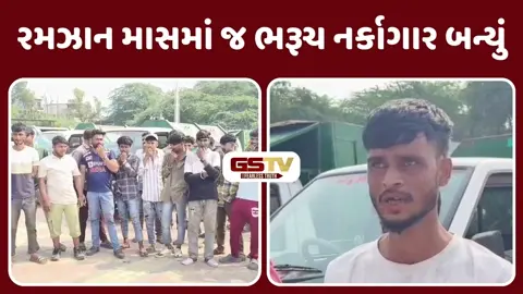VIDEO: ભરૂચમાં કચરાનો ડુંગર: 5 મહિનાનો પગાર બાકી હોવાથી સફાઈ કામદારોની 'સીટી વગાડો' હડતાળ!
