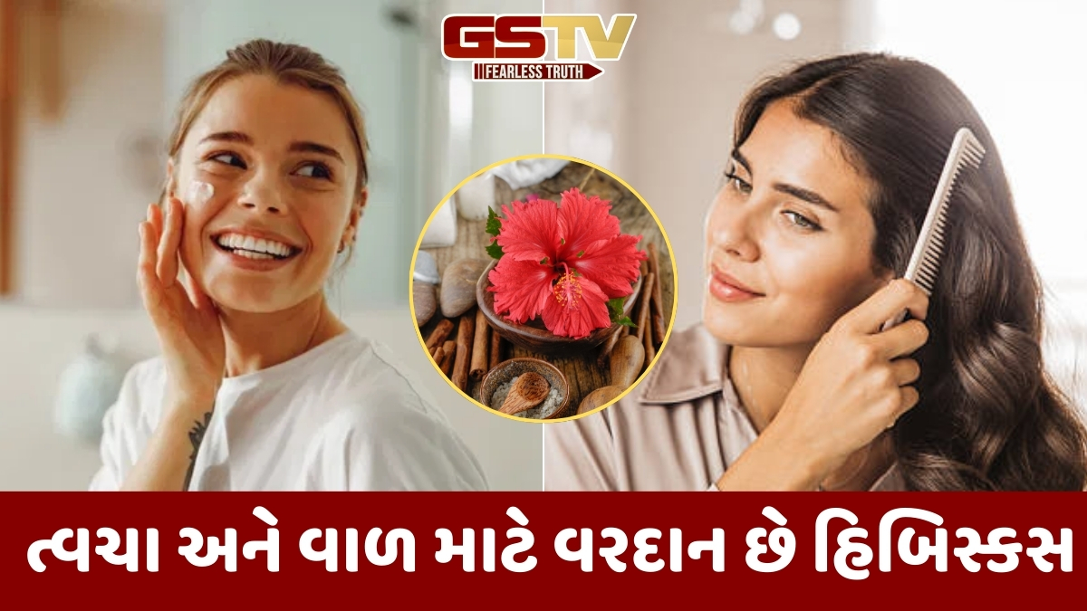 ત્વચા અને વાળ માટે ફાયદાકારક છે હિબિસ્કસ, બ્યુટી રૂટિનમાં સામેલ કરવાથી મળે છે ઘણા લાભ