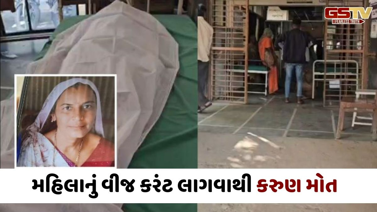Panchmahal news: સસરાનો જીવ બચાવવા જતાં પુત્રવધૂનું વીજ કરંટથી મોત, વૃદ્ધ સારવાર હેઠળ
