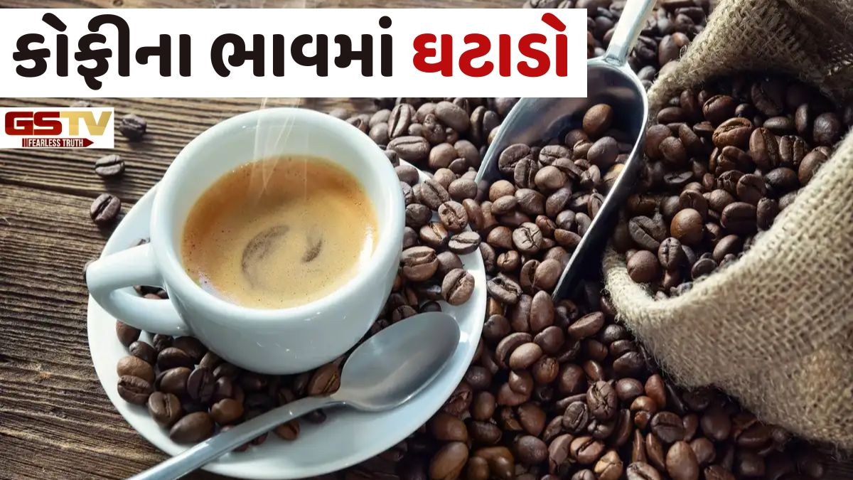 Business Plus/ કોફીના ભાવમાં ત્રણ મહિનામાં નોંધપાત્ર ઘટાડોઃ વિશ્વ બજારમાં પણ પીછેહટ