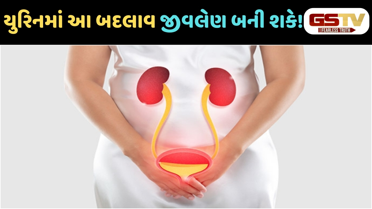 Health Tips: કિડની અને હાર્ટ ફેલ્યોરનું જોખમ! ક્યારેય ન અવગણશો પેશાબના આ લક્ષણો