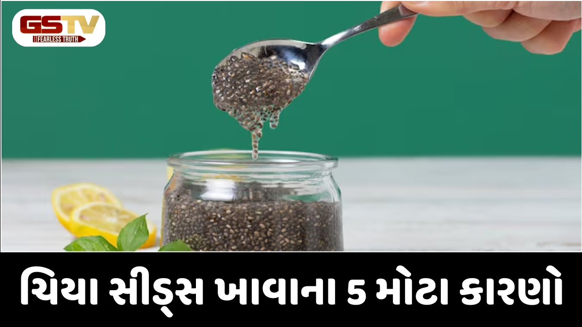 Sahiyar : ચિયા સીડ્સથી હાડકાં થશે મજબૂત અને પાચન રહેશે સુપરફાસ્ટ