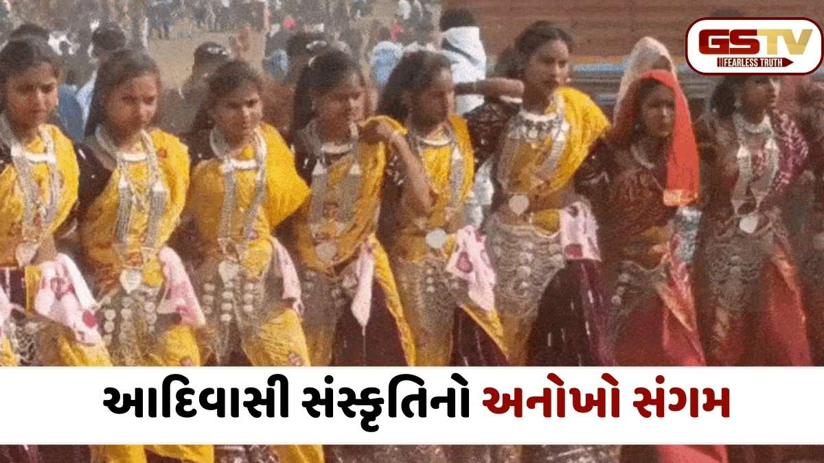 Bhanguria Mela: ઢોલ-ત્રાંસાના તાલે ઝૂમી ઉઠ્યું આદિવાસી પંથક, જાણો 15 દિવસ ચાલતા આ મેળાનું શું છે મહત્ત્વ?