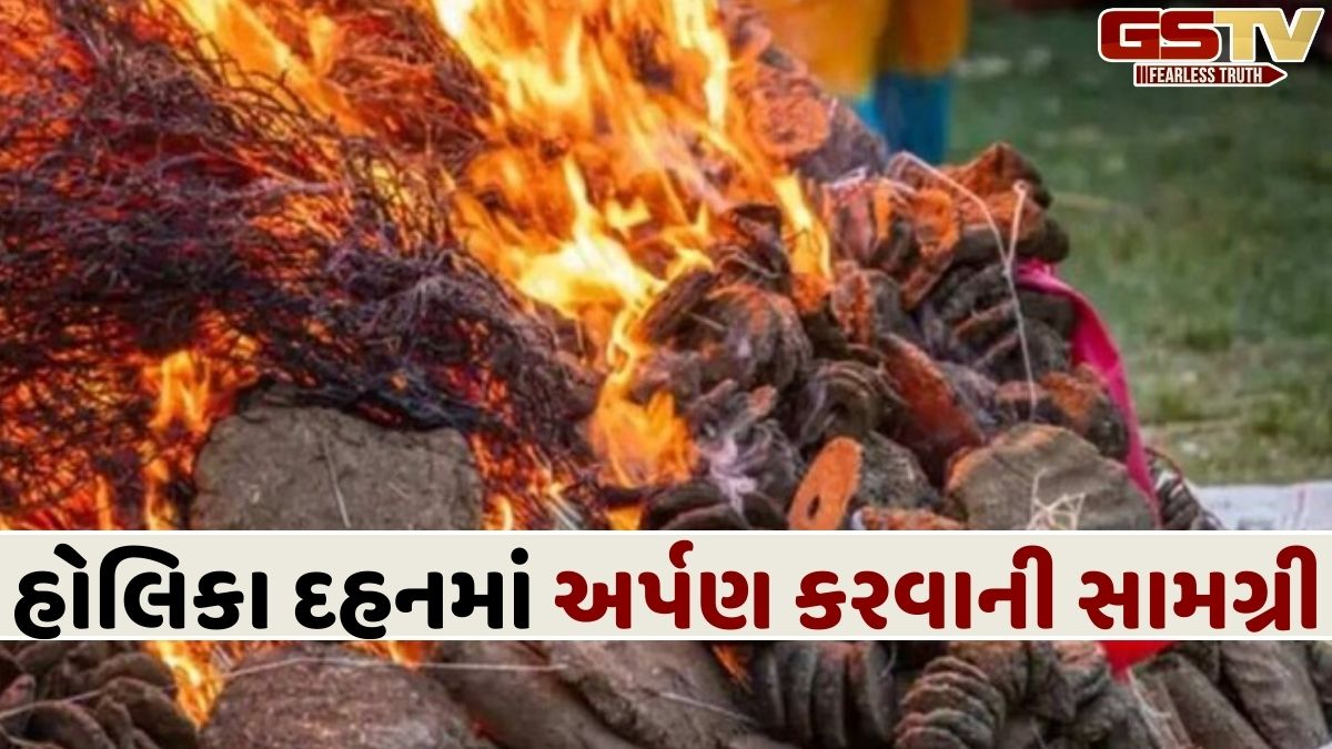 કપૂર, લીલી એલચી... આ વસ્તુઓ હોલિકા દહનની અગ્નિમાં અર્પણ કરી ઉજવો રંગોત્સવ