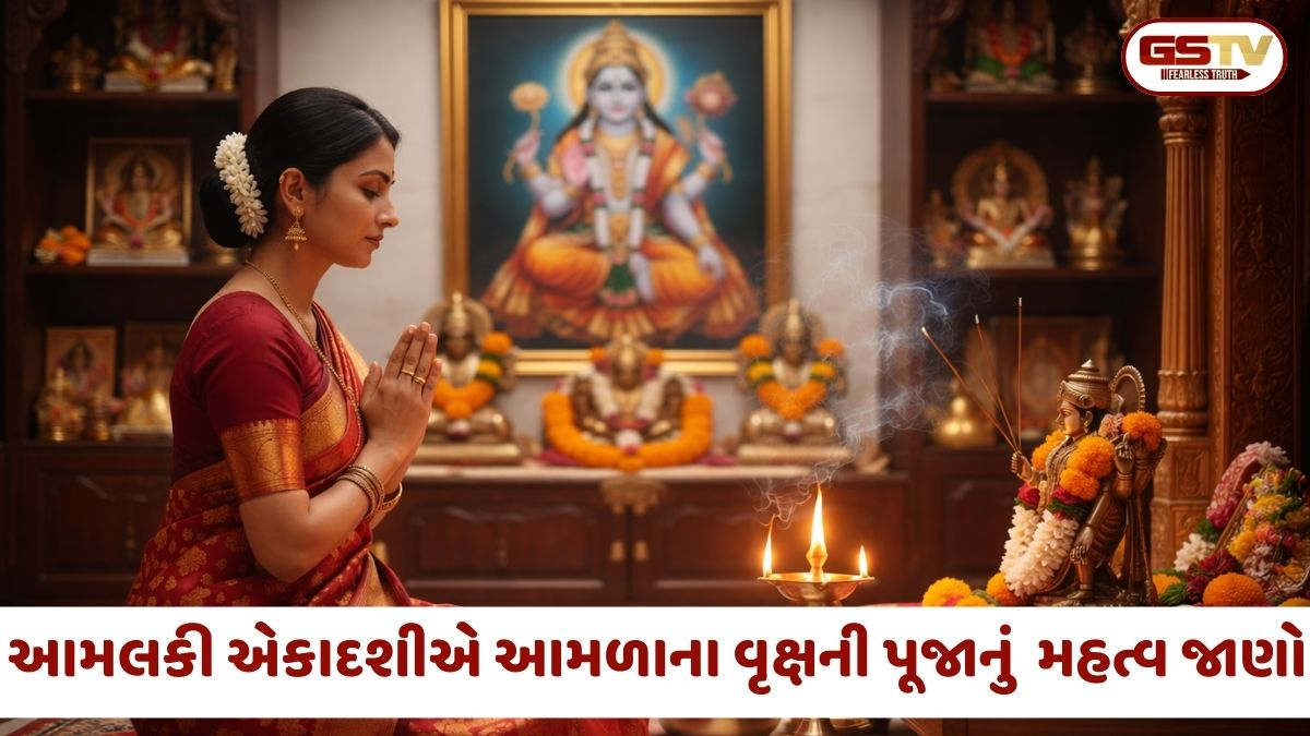 આમલકી એકાદશી 2026: ભગવાન વિષ્ણુને પ્રસન્ન કરવાના 6 ચમત્કારી મંત્રો, જે દૂર કરશે તમામ રોગ અને પાપ