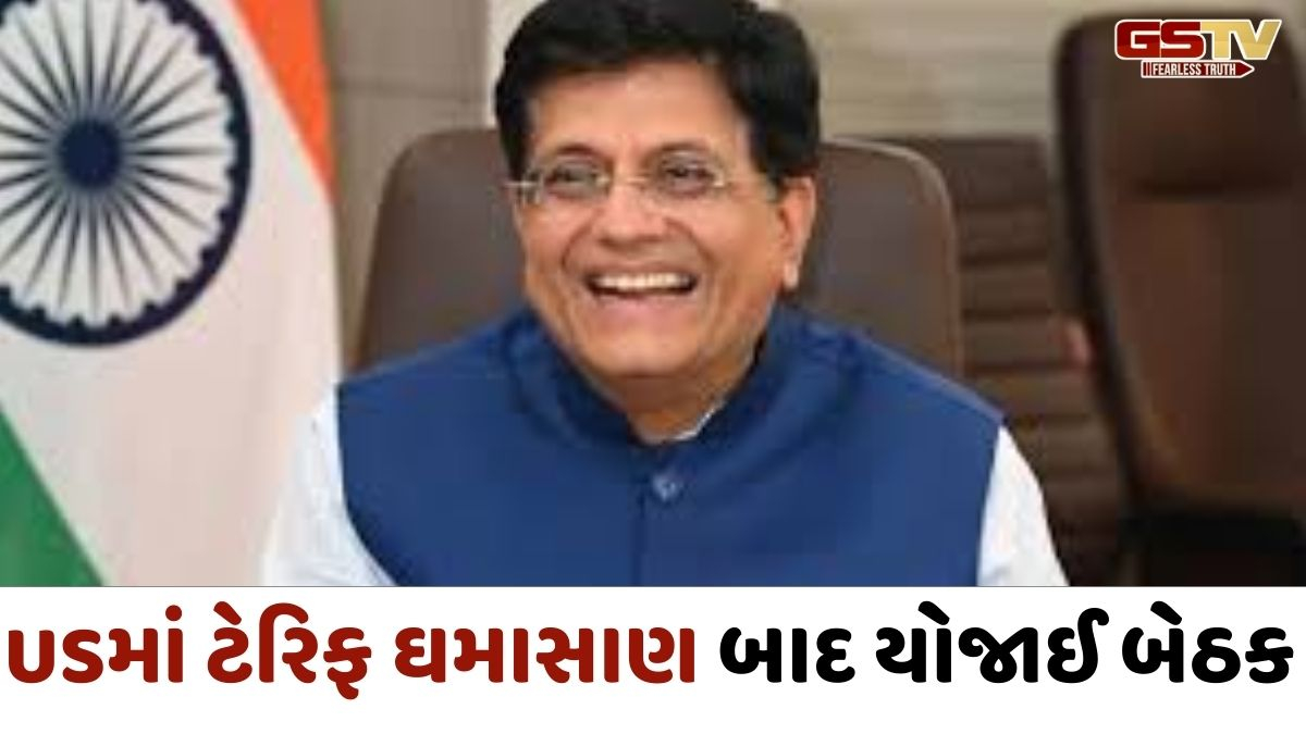 ભારત-અમેરિકા ટ્રેડ ડીલ મુદ્દે US અધિકારીઓ સાથેની બેઠક સફળ, વાણિજ્ય મંત્રી પીયૂષ ગોયલે આપ્યા ખુશખબર !