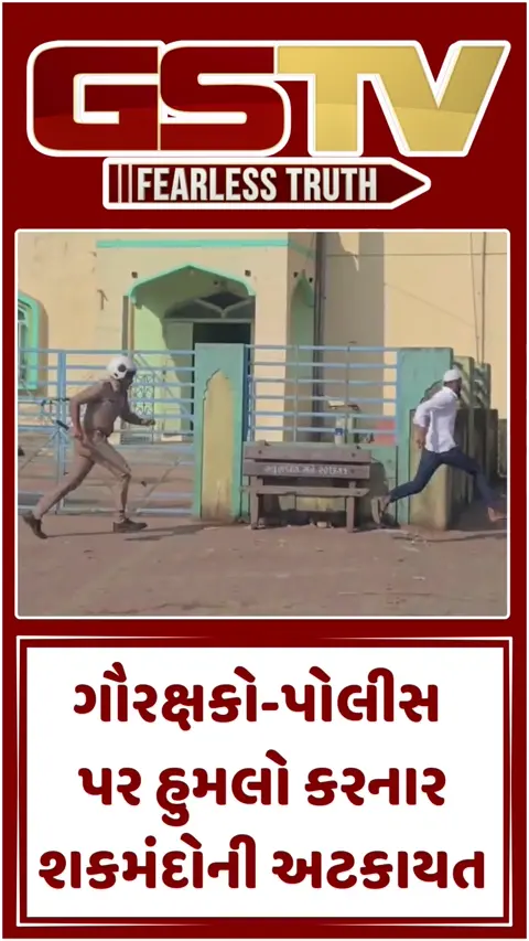 Video: સુરતના હથોડા ગામમાં ગૌહત્યા અટકાવવા જતા ગૌરક્ષકો અને પોલીસ પર હુમલો, 22 શંકાસ્પદોની અટકાયત
