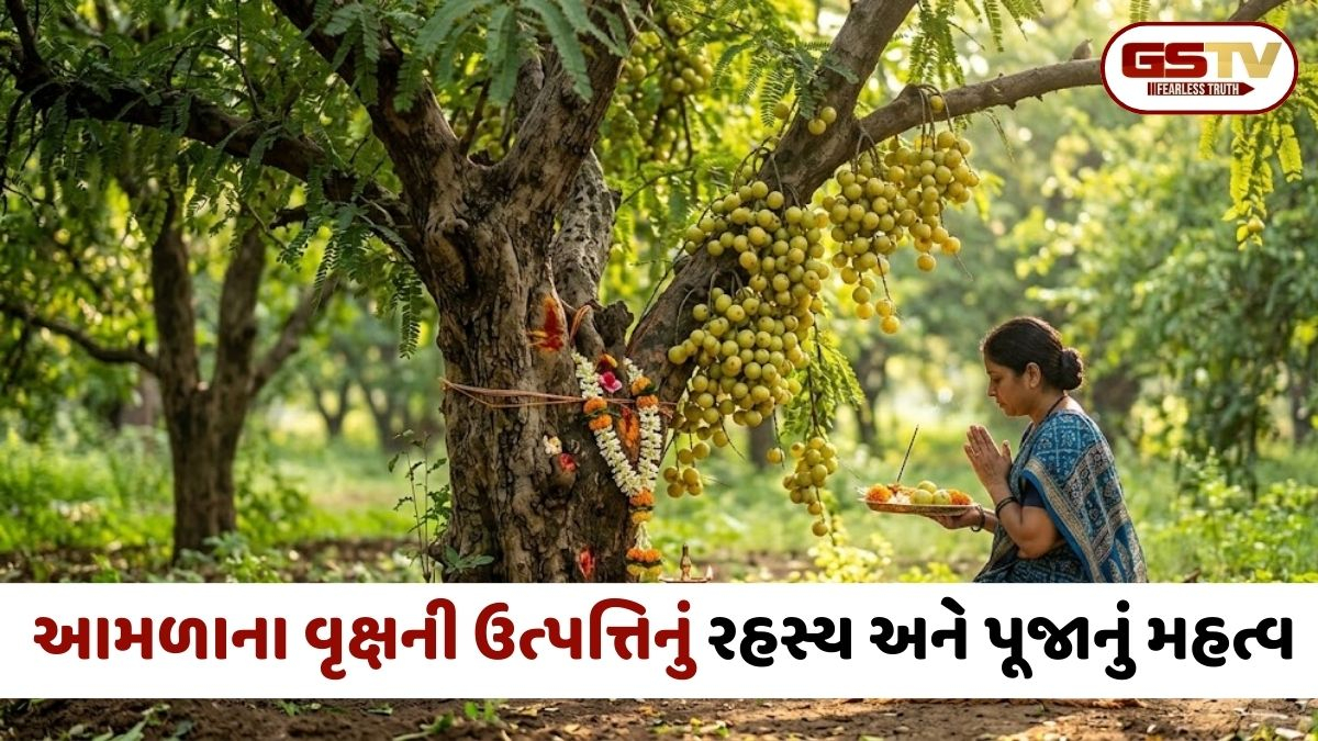 આમલકી એકાદશી 2026: જાણો ક્યારે છે વ્રત? શું છે આમળાના વૃક્ષની ઉત્પત્તિનું રહસ્ય અને પૂજાનું વિશેષ મહત્વ