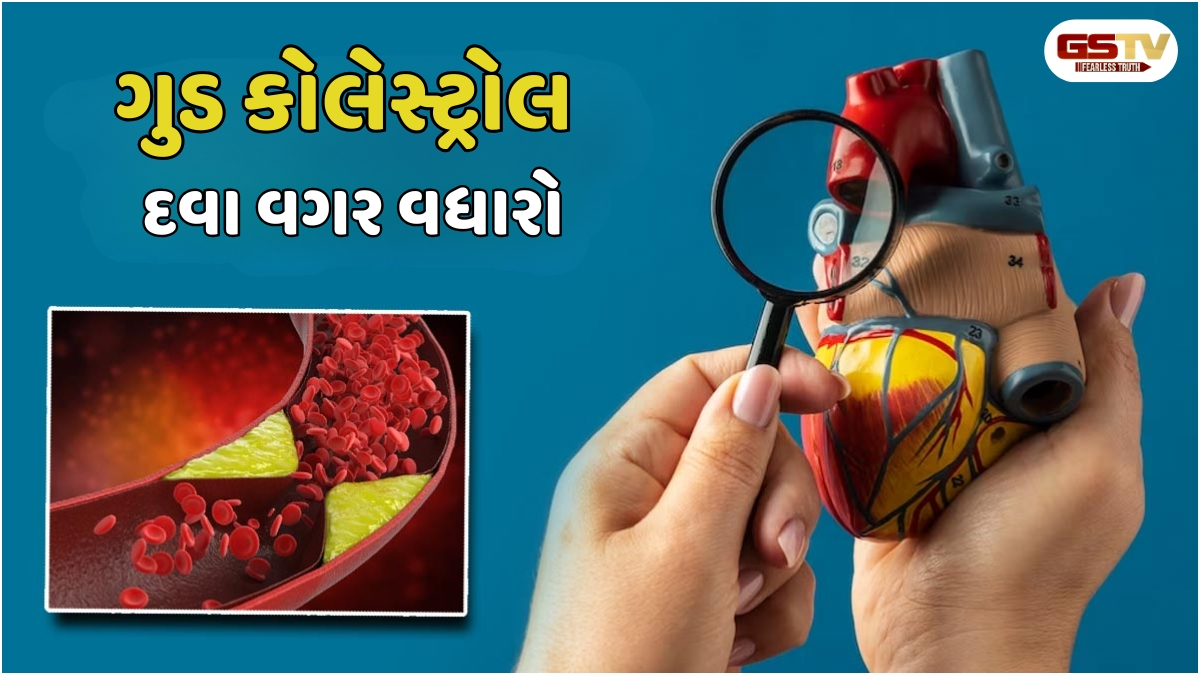 Health Tips: ગુડ કોલેસ્ટ્રોલનો પાવર! આ ખોરાક લેવાથી હાર્ટ રહેશે હેલ્ધી