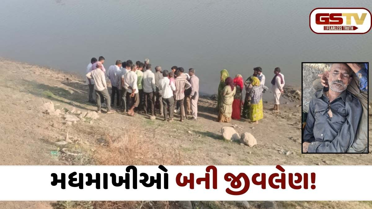 Chotila news: રેશમિયા ગામમાં મધમાખીનો કહેર, હુમલાથી બચવા તળાવમાં કૂદકો મારનાર આધેડનું ડૂબી જવાથી મોત