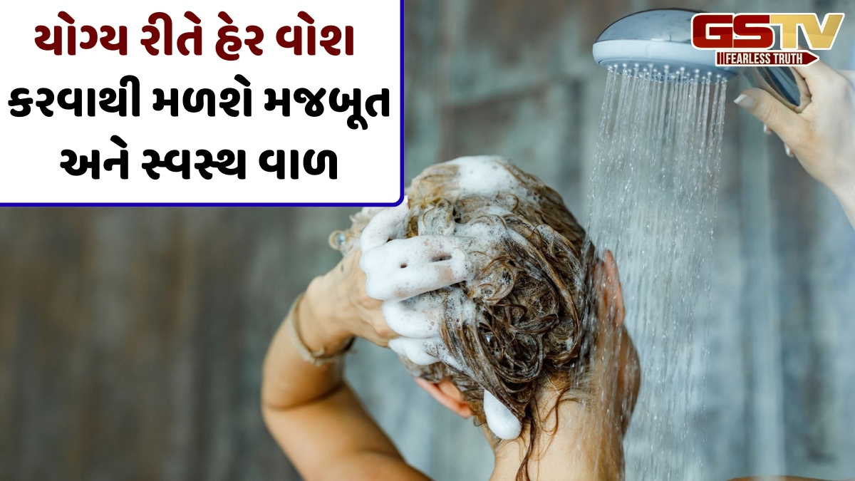 Hair Care Tips / વાળ ધોયા બાદ વધુ તૂટે છે? તો જરૂર ફોલો કરો હેર વોશની આ સરળ ટિપ્સ