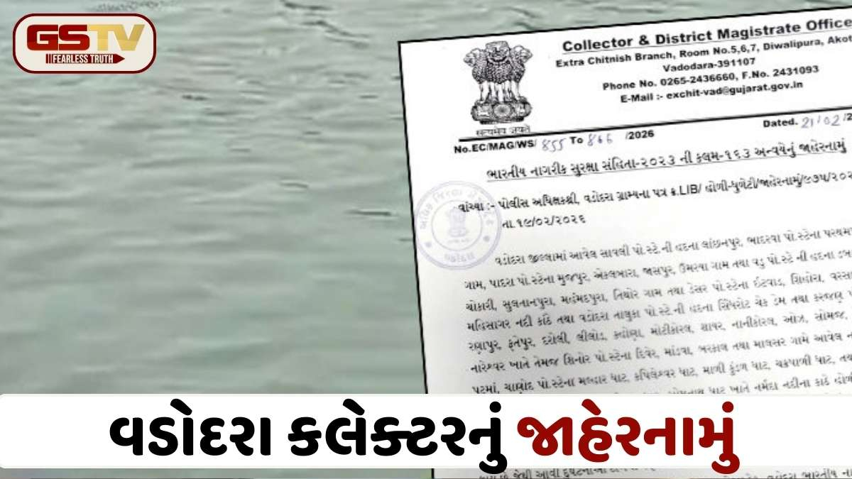 Vadodara: હોળી-ધૂળેટીએ નદી-ચેકડેમમાં ન્હાવા પર સંપૂર્ણ પ્રતિબંધ; કલેક્ટરનું કડક જાહેરનામું, ભંગ કરનાર સામે થશે કાર્યવાહી
