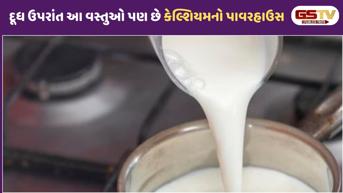 Health Tips: આ ખોરાક છે કેલ્શિયમનો ખજાનો, જાણો કઈ ઉંમરે કેટલા કેલ્શિયમની છે જરૂર?